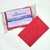 CleanWorks Colour Coded Scourer Red (Pack 10)