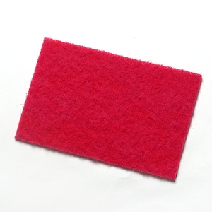 CleanWorks Colour Coded Scourer Red Pack 10