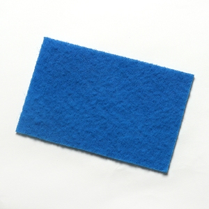 CleanWorks Colour Coded Scourer Blue Pack 10