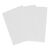 CleanWorks Scouring Pads White (Pack 10)