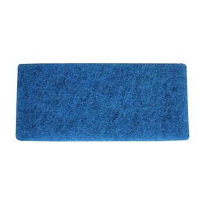 CleanWorks Stripping Pad Blue 25x11CM (Pack 10)