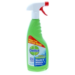 Dettol Mould and Mildew Spray 750ML Case 6