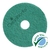 CleanWorks ProEco Premium Floor Pad Green 17" (Case 5)