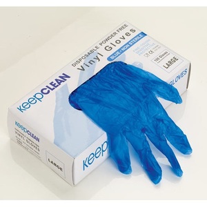 KeepCLEAN Vinyl Powder Free Glove Blue Large